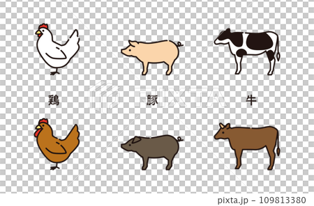 Beef, pork, chicken, meat type 109813380