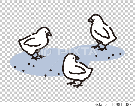小雞的插圖 109813388