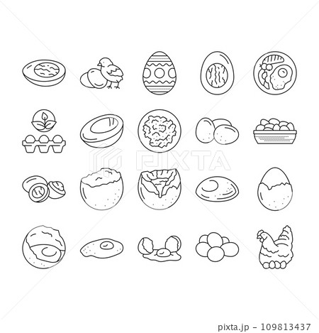 egg chicken farm food organic icons set vector egg chicken farm food organic icons set vector 109813437