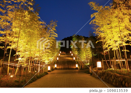 長門湯本温泉街　竹林の階段　ライトアップ 109813539