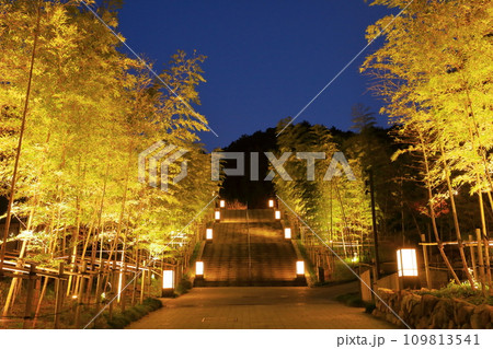 長門湯本温泉街 竹林の階段 ライトアップ 長門湯本温泉街 竹林の階段 ライトアップ 109813541
