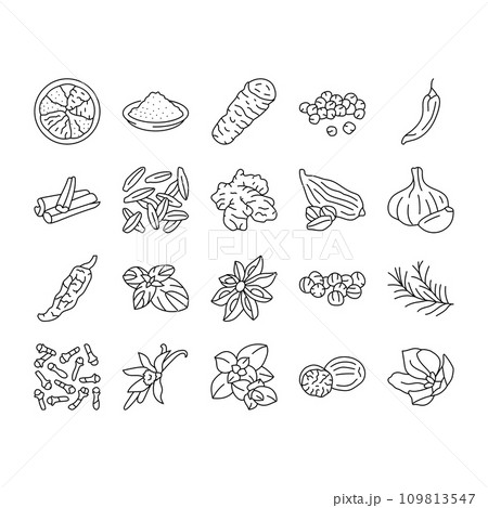 spice food herb leaf icons set vector spice food herb leaf icons set vector 109813547