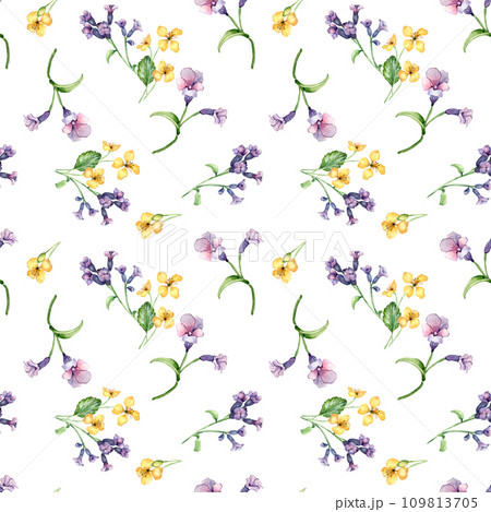 Medicinal plants watercolor seamless pattern isolated on white background. Pulmonaria officinalis purple flower hand drawn. Painted celandine herb plant. Design for label, package, textile, wrapping Medicinal plants watercolor seamless pattern isolated on white background. Pulmonaria officinalis purple flower hand drawn. Painted celandine herb plant. Design for label, package, textile, wrapping 109813705