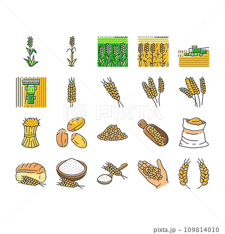 wheat grain bread harvest icons set vector wheat grain bread harvest icons set vector 109814010