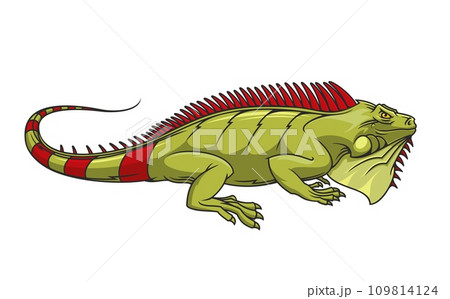 Cartoon iguana mascot. Sport club or league angry lizard iguana character mascot, aggressive wild animal or jungle green reptile personage isolated vector sticker or company symbol 109814124