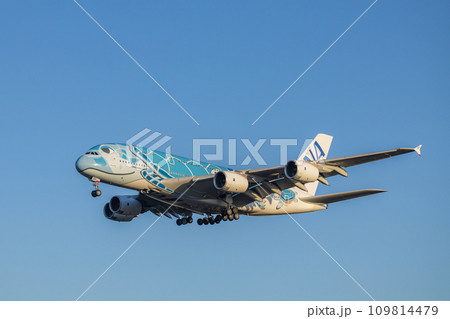 成田空港に着陸する旅客機・飛行機・全日空A380・フライングホヌ 成田空港に着陸する旅客機・飛行機・全日空A380・フライングホヌ 109814479