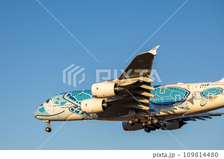 成田空港に着陸する旅客機・飛行機・全日空A380・フライングホヌ 109814480