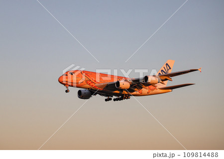 成田空港に着陸する旅客機・飛行機・全日空A380・フライングホヌ 成田空港に着陸する旅客機・飛行機・全日空A380・フライングホヌ 109814488
