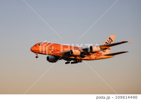 成田空港に着陸する旅客機・飛行機・全日空A380・フライングホヌ 成田空港に着陸する旅客機・飛行機・全日空A380・フライングホヌ 109814490