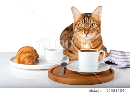 Cute cat near a plate with a croissant and a cup of coffee. 109815044