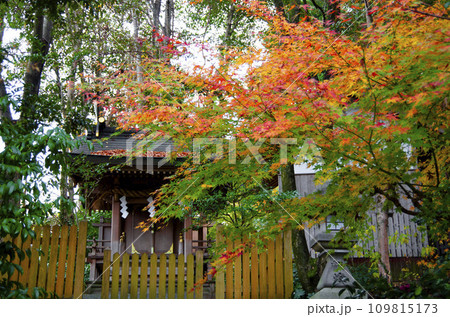 紅葉の秋 109815173