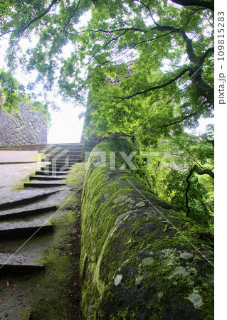 岡城跡・大手門（大分県・竹田市） 109815283