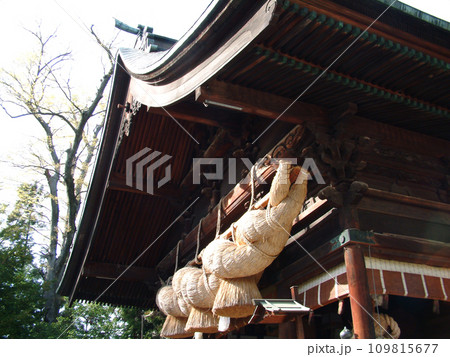 神社(大社)の大しめ縄(大注連縄) 神社(大社)の大しめ縄(大注連縄) 109815677