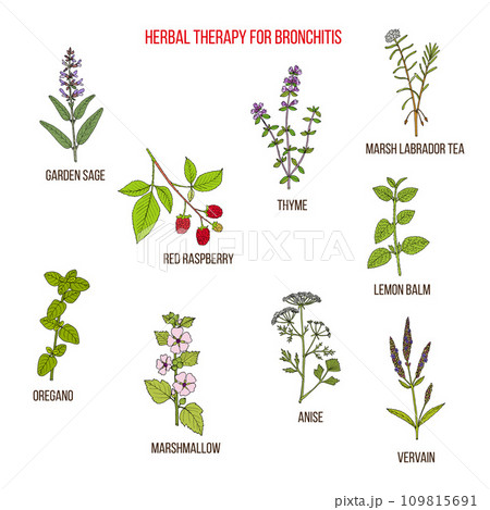 Herbal therapy for bronchitis 109815691
