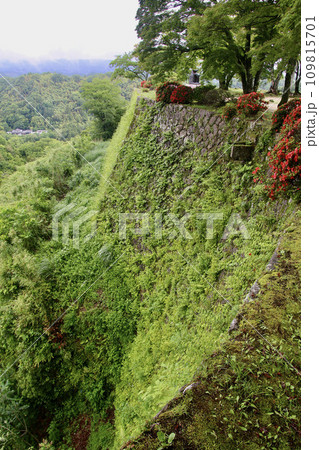 岡城跡・三の丸跡・石垣(大分県・竹田市) 岡城跡・三の丸跡・石垣(大分県・竹田市) 109815701