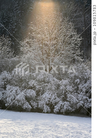 Beautiful snowy landscape. Winter nature - seasonal concept. Beautiful snowy landscape. Winter nature - seasonal concept. 109815783