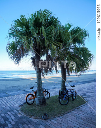 自転車とフェニックス 自転車とフェニックス 109815968