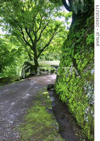 岡城跡・西の丸跡・石垣(大分県・竹田市) 岡城跡・西の丸跡・石垣(大分県・竹田市) 109816274