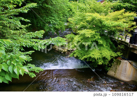 黒川温泉・田の原川（熊本県・小国町） 109816517