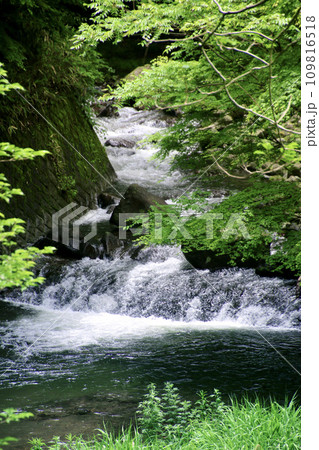 黒川温泉・田の原川（熊本県・小国町） 109816518