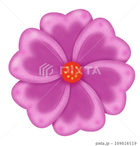 pink flower with water drops pink flower with water drops 109816519