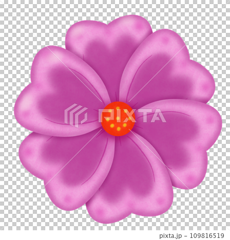 pink flower with water drops pink flower with water drops 109816519