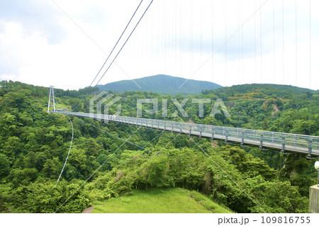 九重“夢”大吊橋(大分県・九重町) 九重“夢”大吊橋(大分県・九重町) 109816755