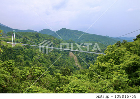 九重“夢”大吊橋（大分県・九重町） 109816759