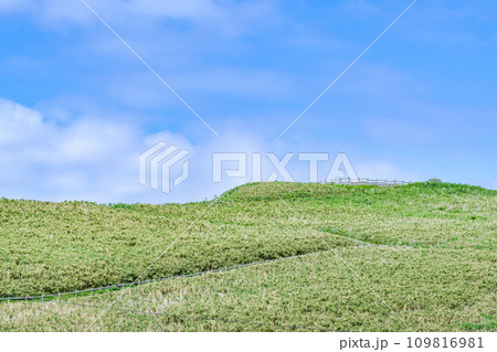 緑に覆われた夏の丘（自然イメージ） 109816981