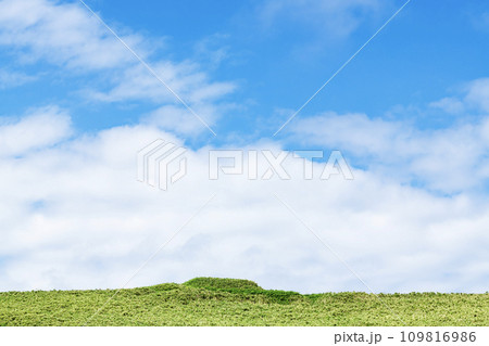 夏の大空と緑の大地（夏イメージ） 109816986