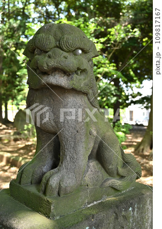 川口散歩・峯ヶ岡八幡神社 川口市峯 川口散歩・峯ヶ岡八幡神社 川口市峯 109817167
