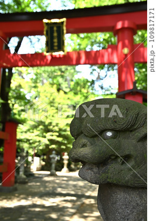 川口散歩・峯ヶ岡八幡神社 川口市峯 川口散歩・峯ヶ岡八幡神社 川口市峯 109817171