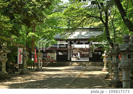 川口散歩・峯ヶ岡八幡神社　川口市峯 109817173