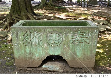 川口散歩・峯ヶ岡八幡神社 川口市峯 川口散歩・峯ヶ岡八幡神社 川口市峯 109817177
