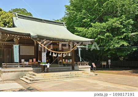 川口散歩・峯ヶ岡八幡神社 川口市峯 川口散歩・峯ヶ岡八幡神社 川口市峯 109817191