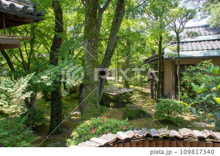 倉敷の古い町並み　美観地区の旧大原家住宅の日本庭園 109817340
