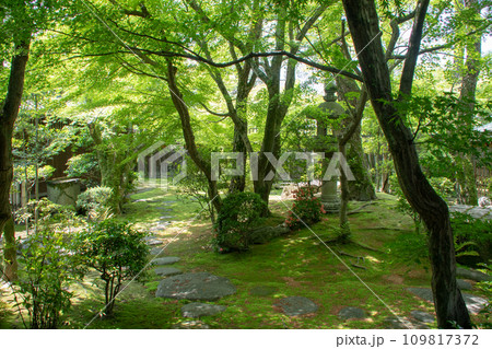 倉敷の古い町並み　美観地区の旧大原家住宅の日本庭園 109817372