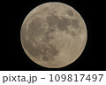 満月　フルムーン 109817497