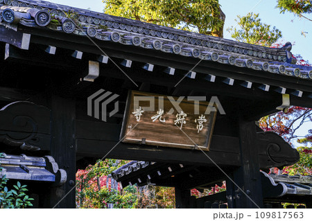 常寂光寺(京都)山門 常寂光寺(京都)山門 109817563