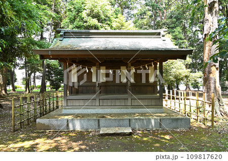 川口散歩・峯ヶ岡八幡神社 川口市峯 川口散歩・峯ヶ岡八幡神社 川口市峯 109817620