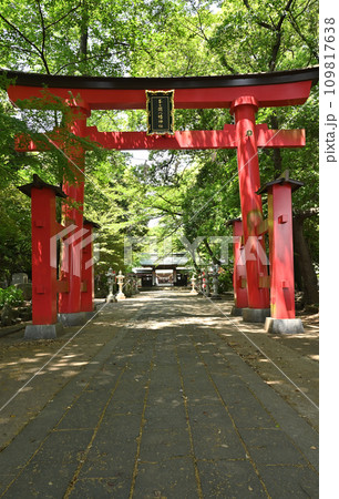 川口散歩・峯ヶ岡八幡神社　川口市峯 109817638