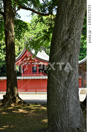 川口散歩・峯ヶ岡八幡神社　川口市峯 109817835