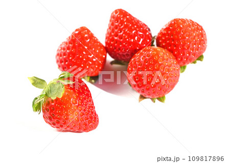 いちご(恋みのり) いちご(恋みのり) 109817896
