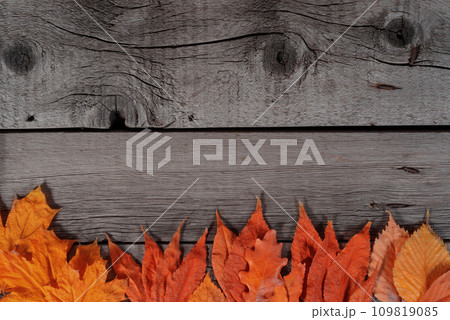 Dry Yellow Leaves on Wooden Rustic Table. Autumn, Thanksgiving and Thematic Fall Wallpaper Template. 109819085