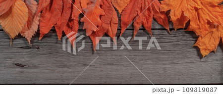 Dry Yellow Leaves on Wooden Rustic Table. Autumn, Thanksgiving and Thematic Fall Wallpaper Template. 109819087