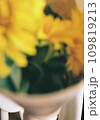 フィルムカメラで撮った黄色い花 109819213
