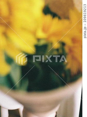 フィルムカメラで撮った黄色い花 109819213