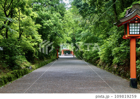 宇佐神宮・鳥居（大分県・宇佐市） 109819259
