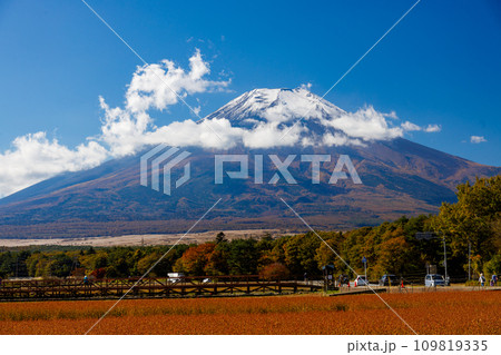 山梨県山中湖村の花の都公園から望む富士山の風景 山梨県山中湖村の花の都公園から望む富士山の風景 109819335