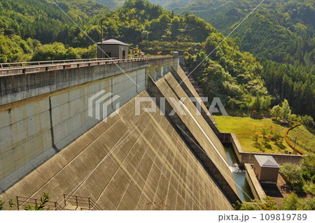大ヶ洞ダムの堤体 109819789